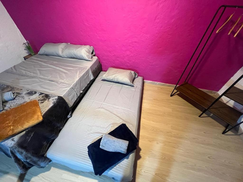 Apartaestudios Las Astromelias Salento Bagian luar foto